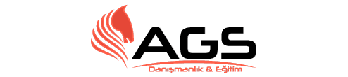 Ags Akademi Online